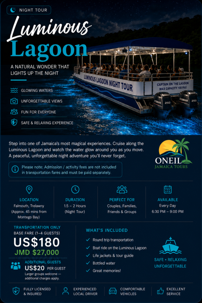 Luminous Lagoon bioluminescence night tour in Falmouth Jamaica